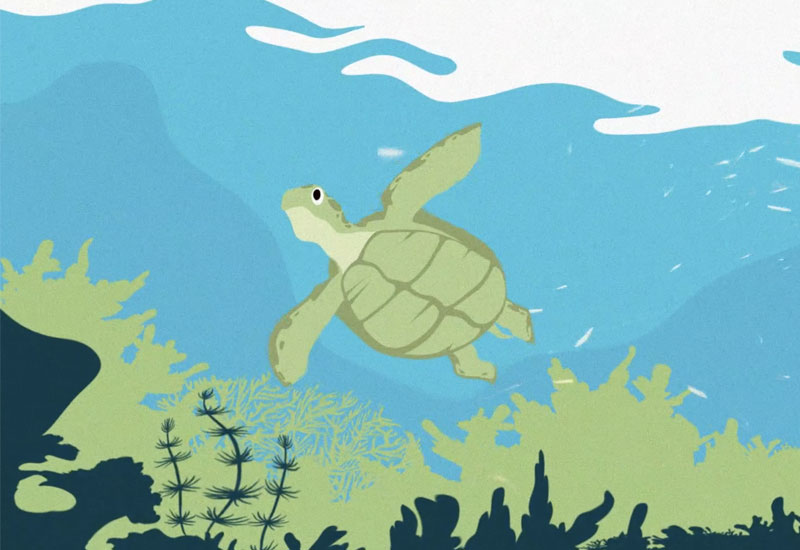 Environmental Campaign Animation